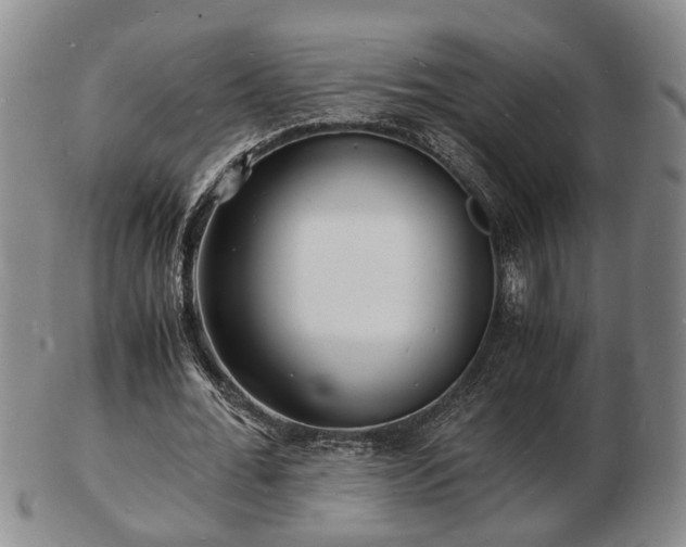 X0000103290676200809051500