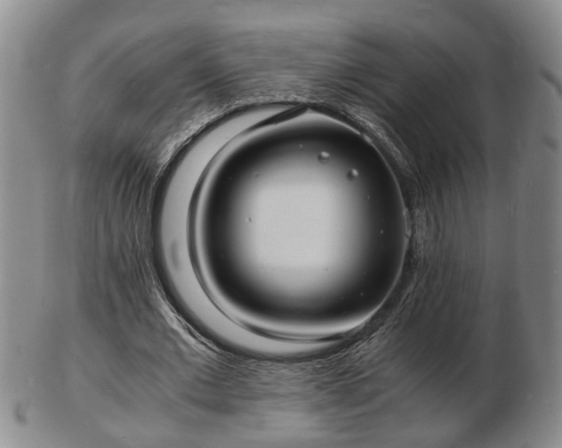 X0000103290677200809051500