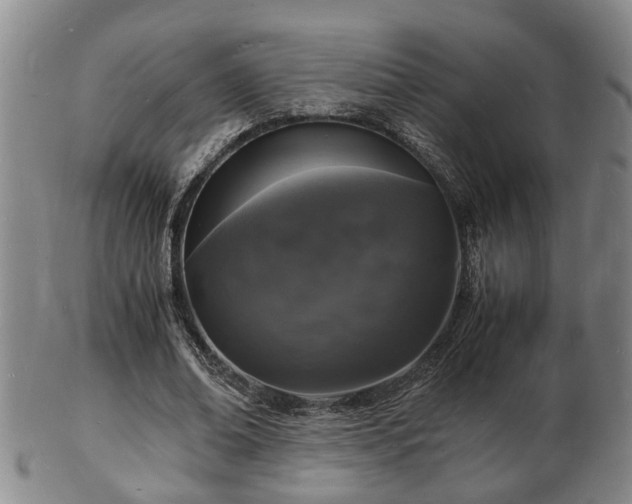 X0000103290678200809051500