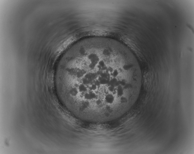 X0000103290679200809051500