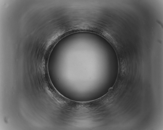 X0000103290680200809051500