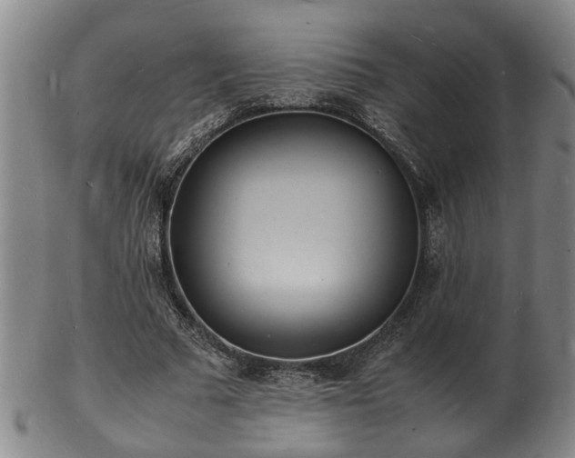 X0000103290681200809051500