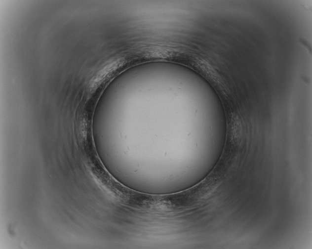 X0000103290683200809051500