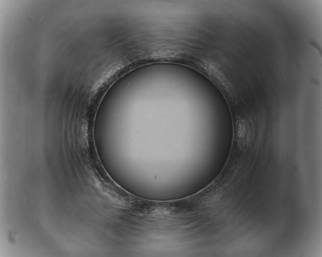 X0000103290684200809051500