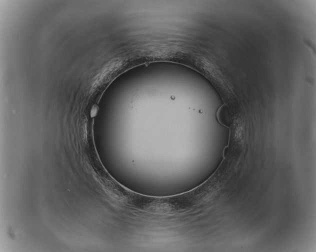 X0000103290685200809051500