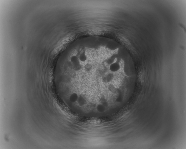 X0000103290687200809051500