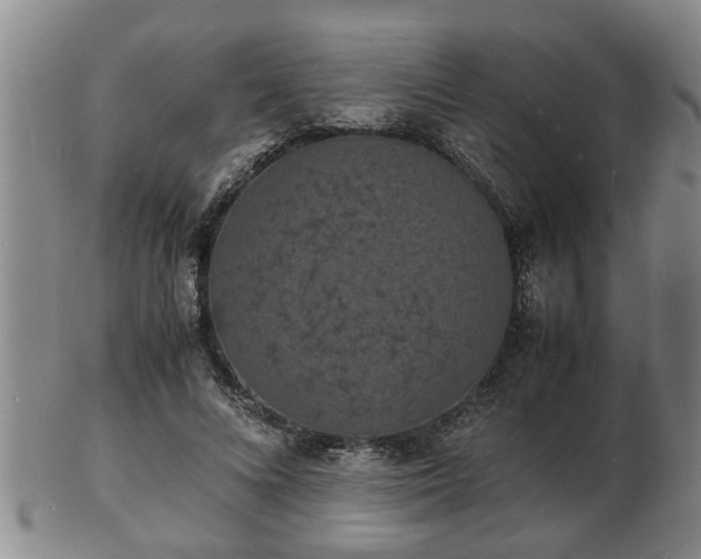 X0000103290688200809051500