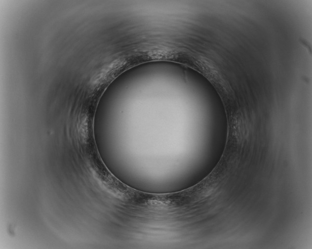 X0000103290690200809051500