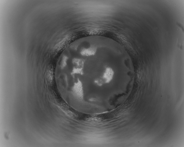 X0000103290691200809051500