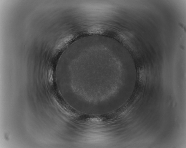 X0000103290692200809051500