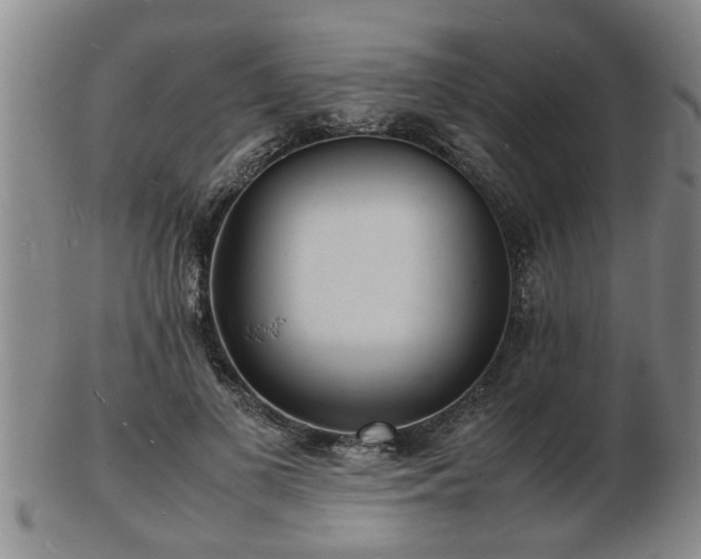 X0000103290693200809051500