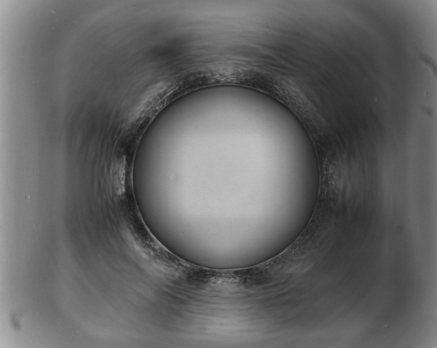 X0000103290694200809051500