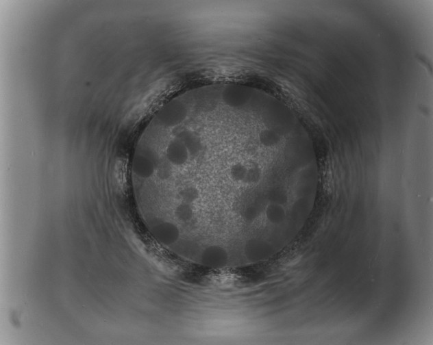 X0000103290695200809051500