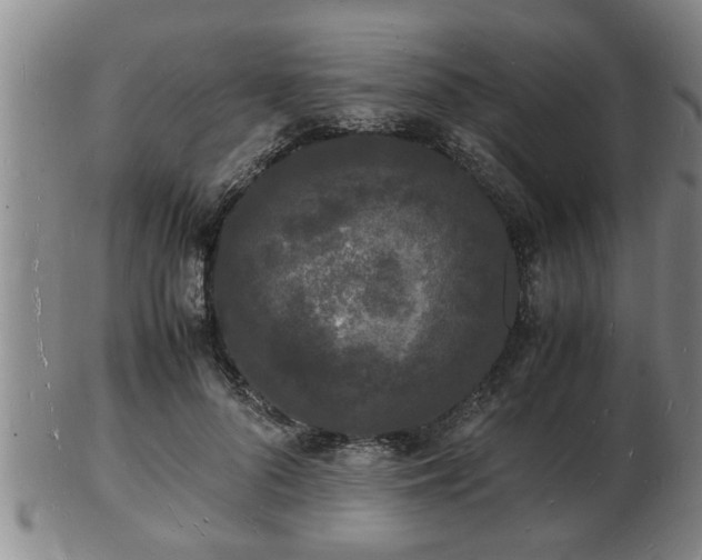 X0000103290696200809051500