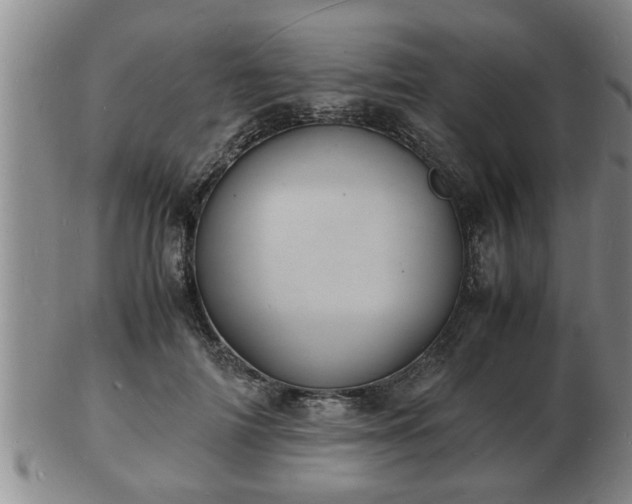 X0000103290698200809051500