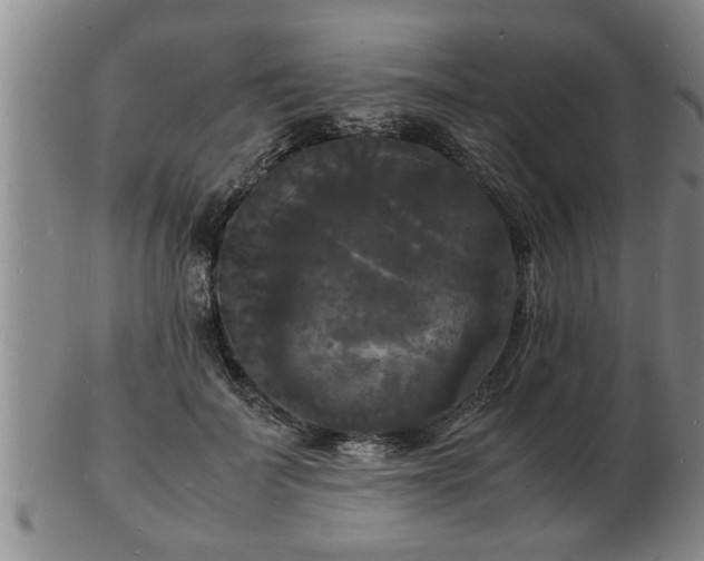 X0000103290699200809051500