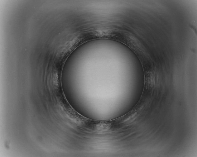 X0000103290700200809051500