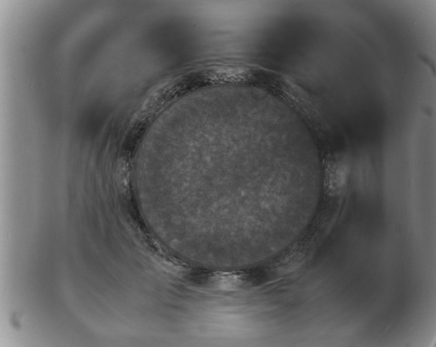 X0000103290701200809051500