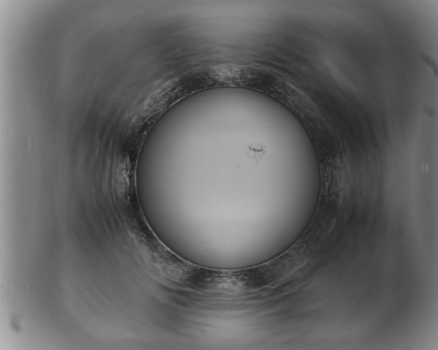 X0000103290702200809051500