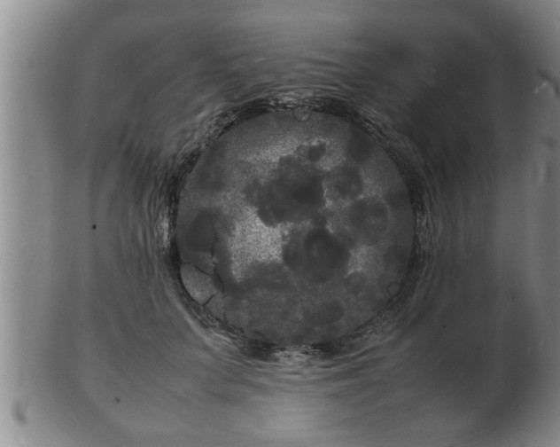 X0000103290703200809051500