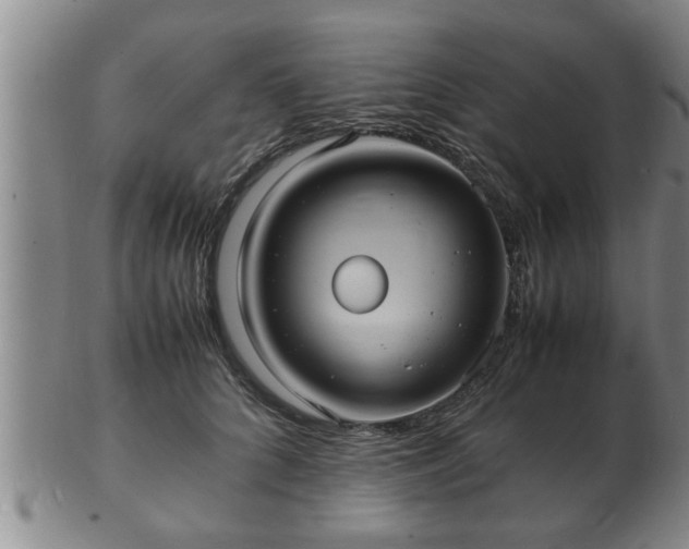 X0000103290704200809051500