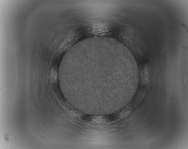 X0000103290705200809051500