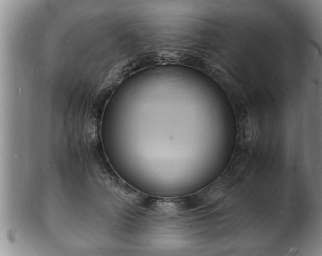 X0000103290706200809051500