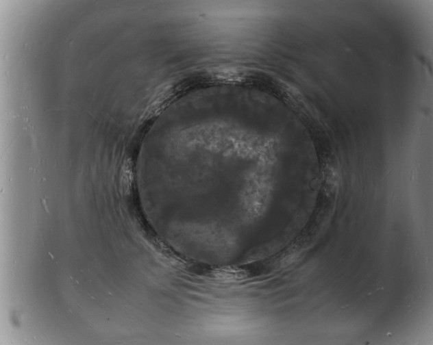 X0000103290707200809051500