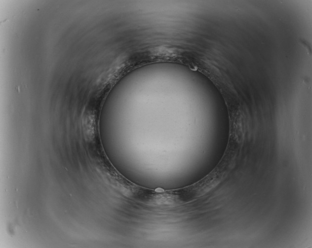 X0000103290708200809051500