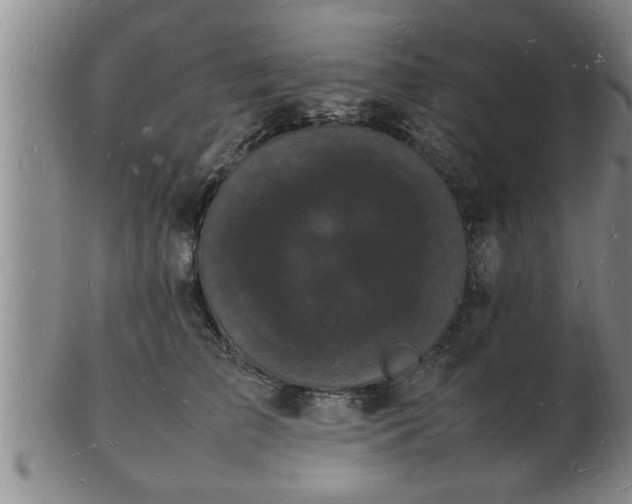 X0000103290709200809051459