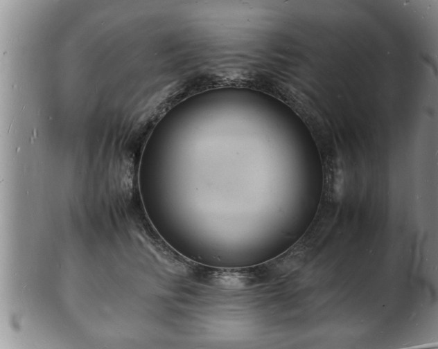 X0000103290710200809051459