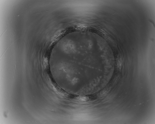 X0000103290711200809051459