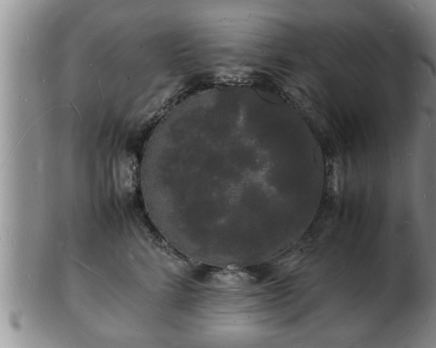 X0000103290712200809051459