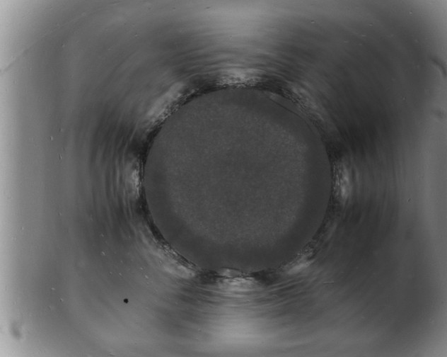 X0000103290716200809051459