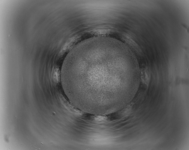 X0000103290718200809051459