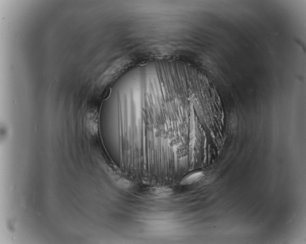 X0000103290719200809051459
