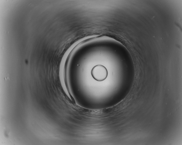 X0000103290720200809051459