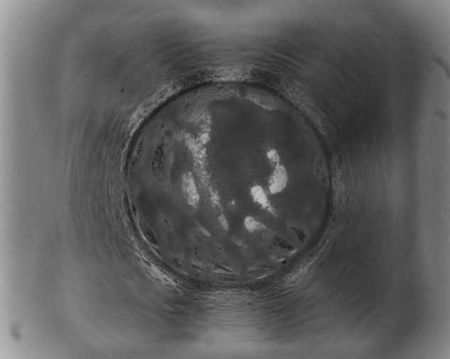 X0000103290721200809051459