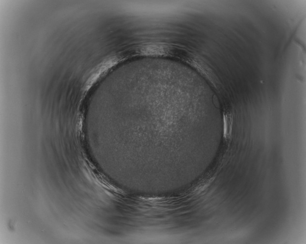 X0000103290723200809051459