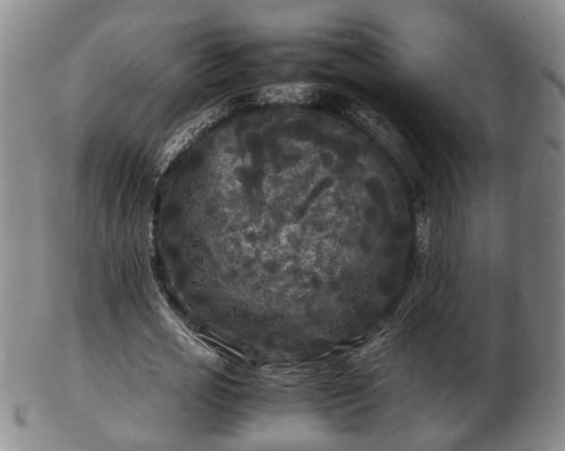 X0000103290725200809051459