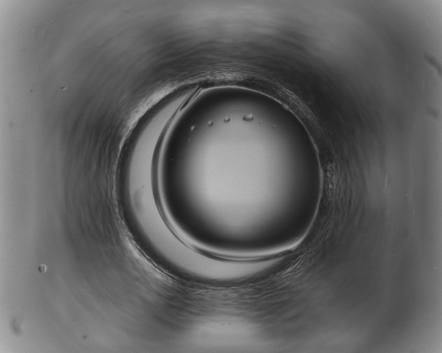 X0000103290726200809051459