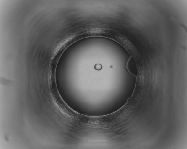 X0000103290728200809051459