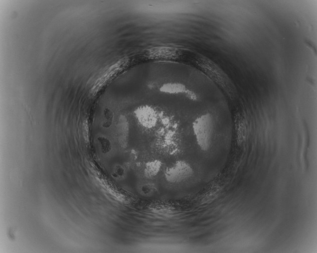 X0000103290729200809051459