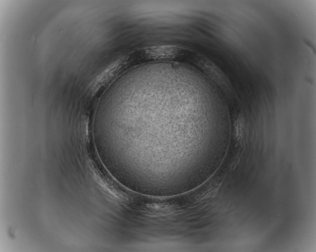 X0000103290733200809051459