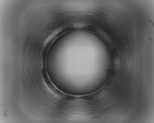 X0000103290734200809051459