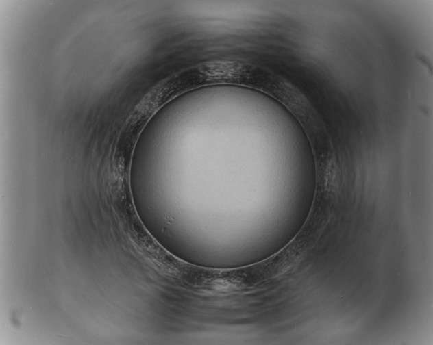 X0000103290737200809051459