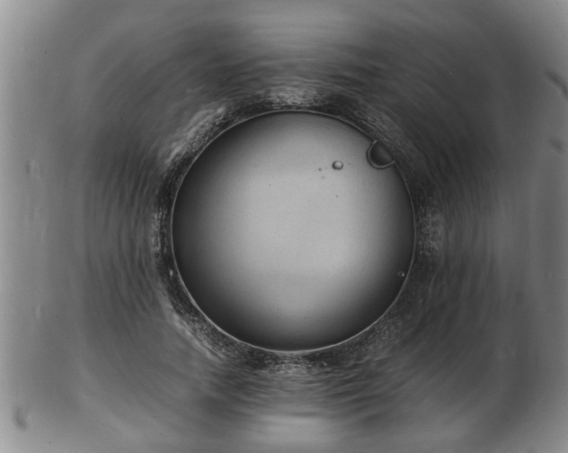 X0000103290738200809051459