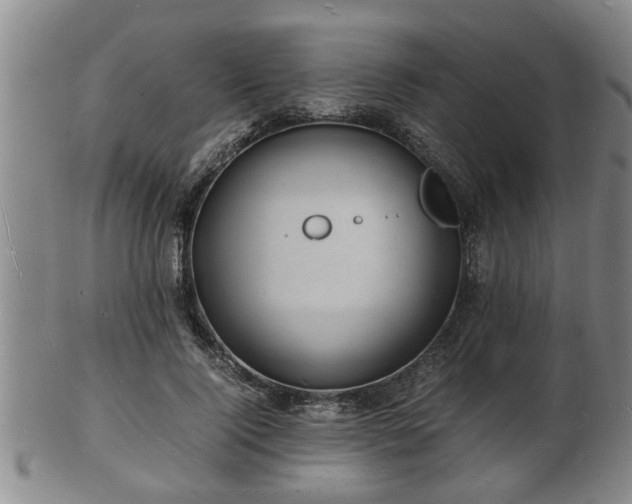 X0000103290740200809051459