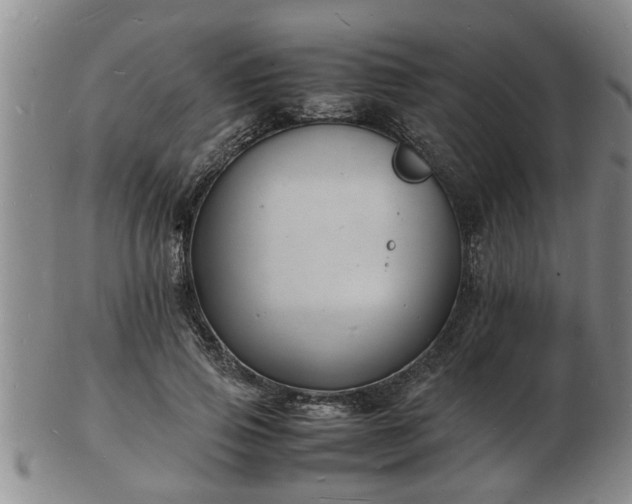 X0000103290741200809051459