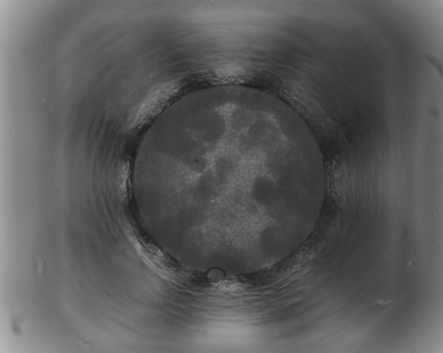 X0000103290742200809051459